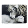 Placemat Schaap En Lam 30x40cm (4) Mars & More